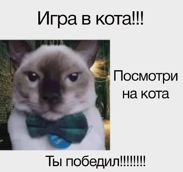 В основном маразм