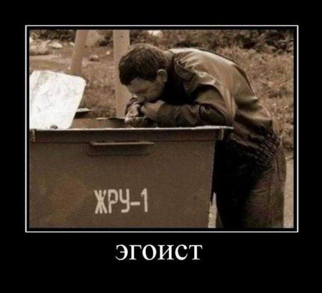 Демотиваторы для всех