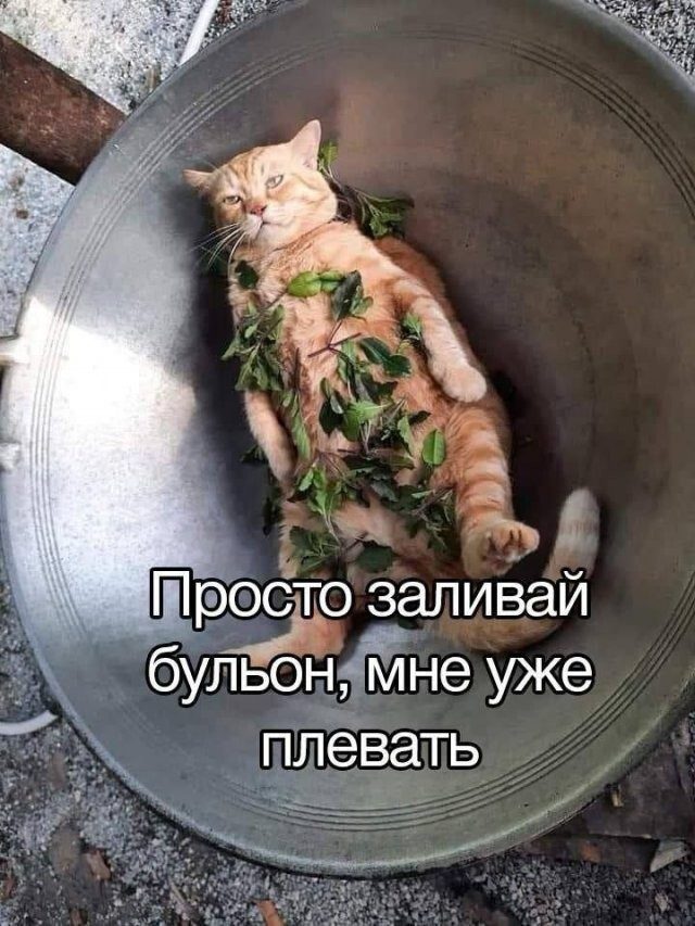 Маразм