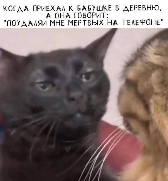 Маразм