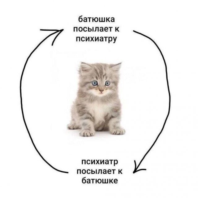 Скрины из соцсетей