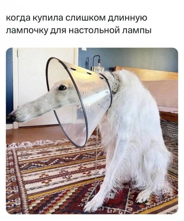 Смешные мемы