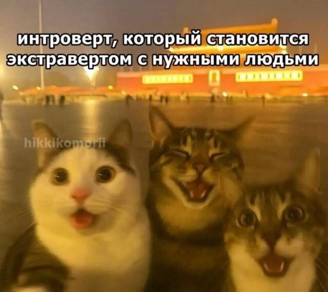 Скрины из соцсетей