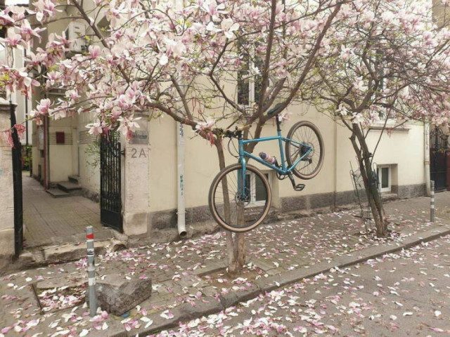 Прикольные картинки для всех