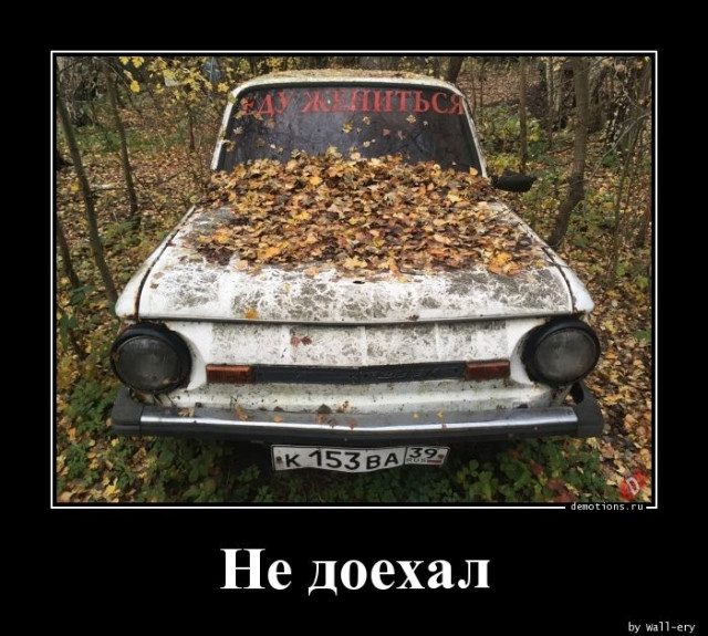 Демотиваторы с приколами