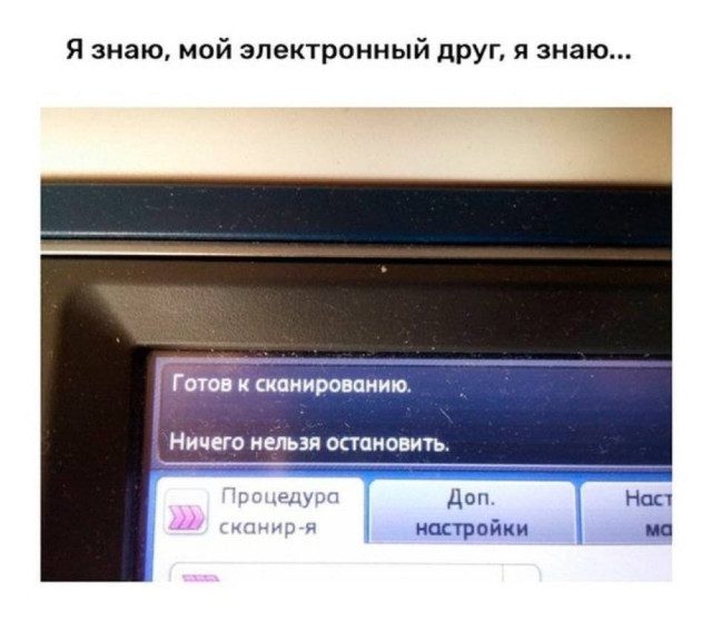 Прикольные картинки для всех