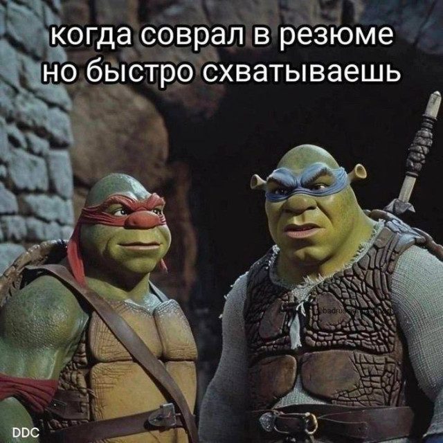 Прикольные картинки для всех