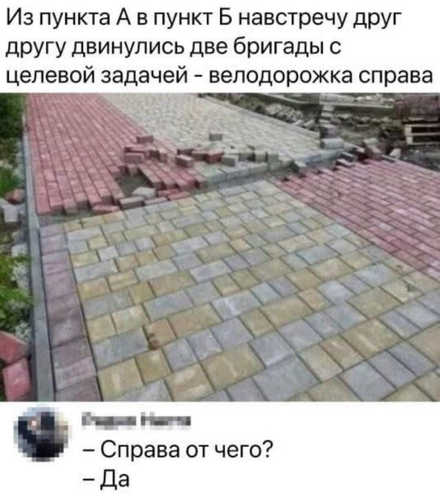 Прикольные картинки для всех