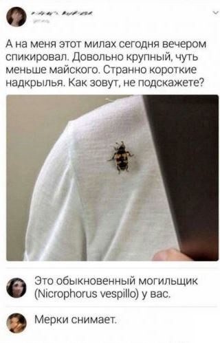 Прикольные картинки для всех