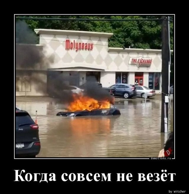 Демотиваторы с приколами