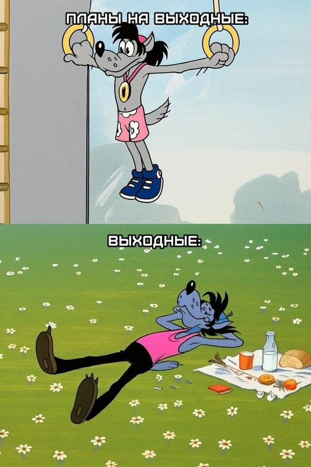 Прикольные картинки для хорошего настроения