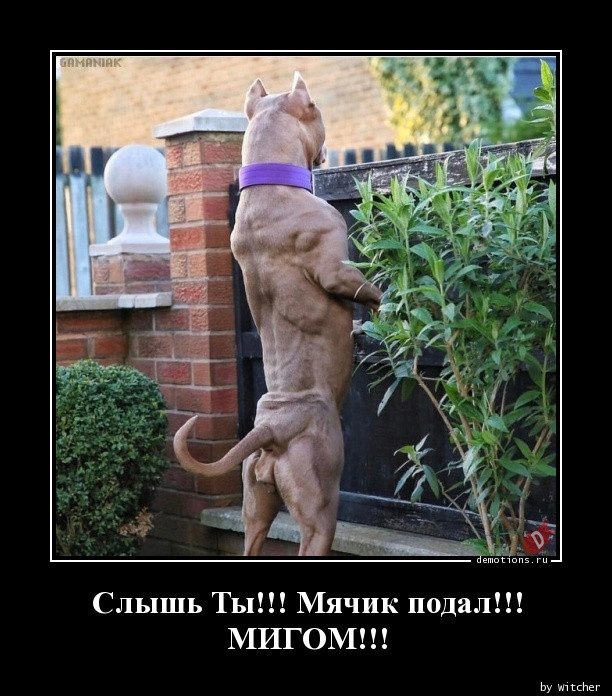 Демотиваторов пост