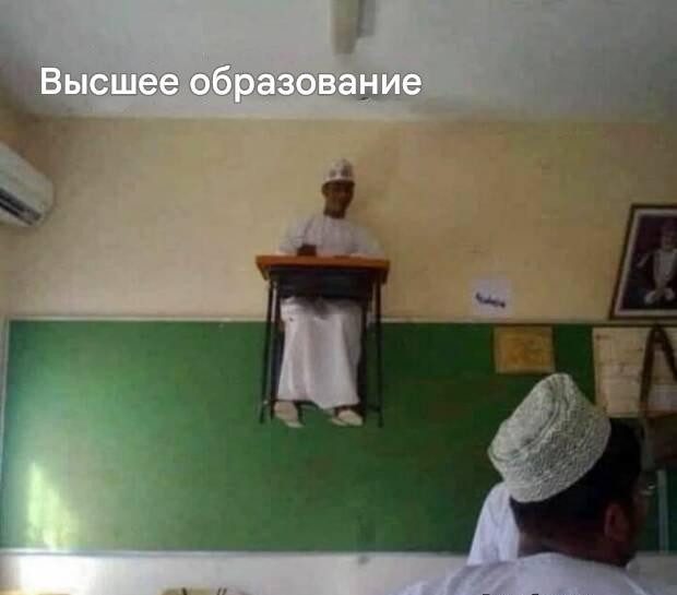 Прикольные картинки для хорошего настроения