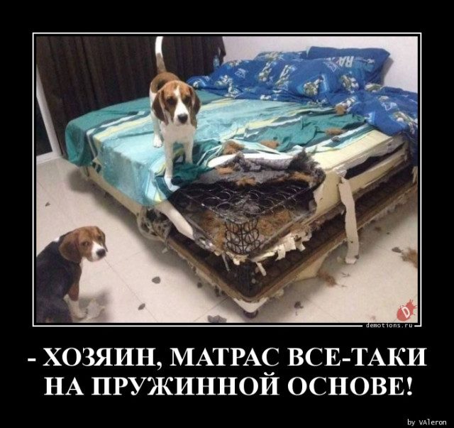 Демотиваторов пост