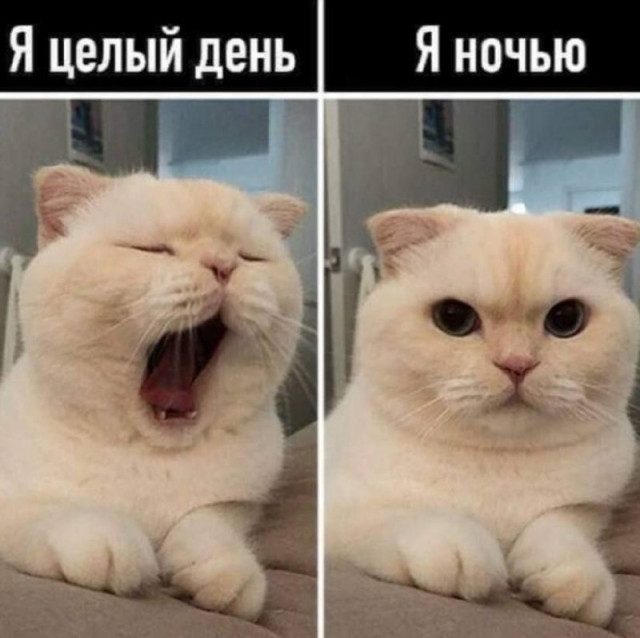 Приколы для всех