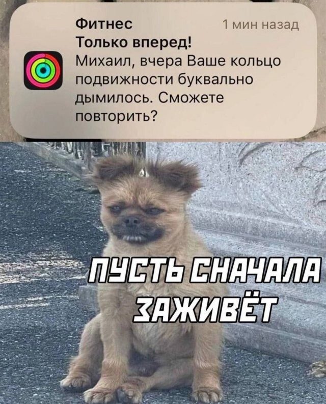Здесь в основном маразм