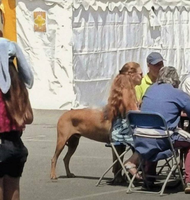 Приколы для всех