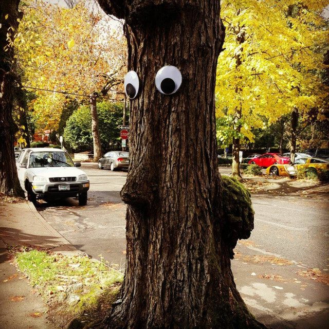 Приколы для всех
