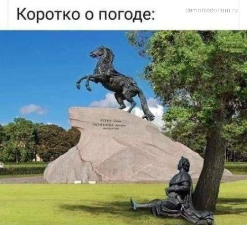 Весёлые картинки