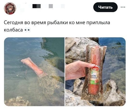 Весёлые картинки