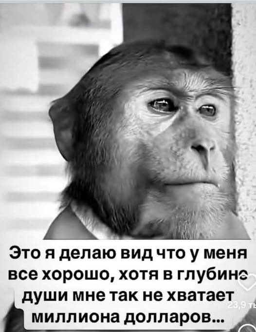 Скрины из соцсетей
