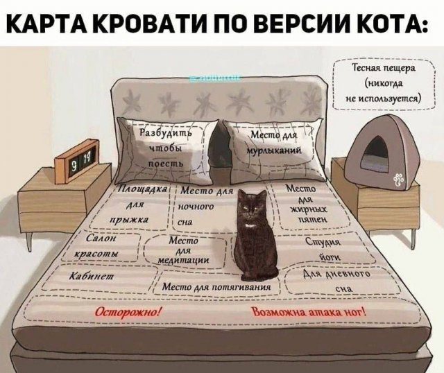 Смешные мемы
