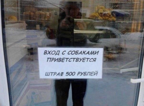 Шутки и мемы