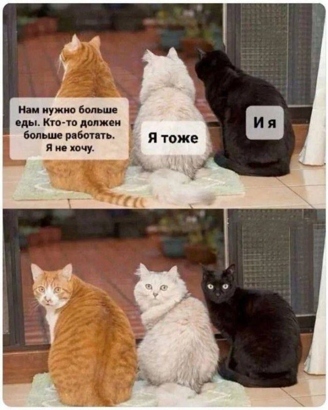 Смешные мемы