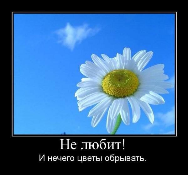 Демотивирующий юмор