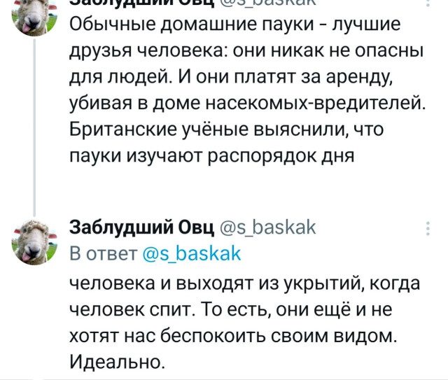 Прикольные твиты