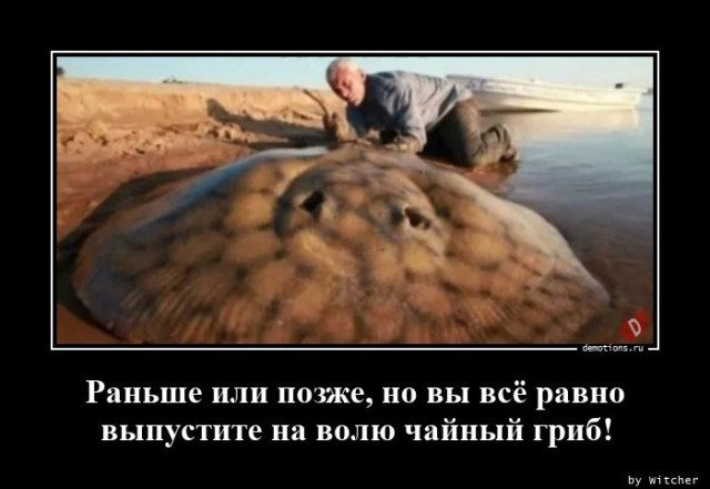 Демотиваторы на любой вкус