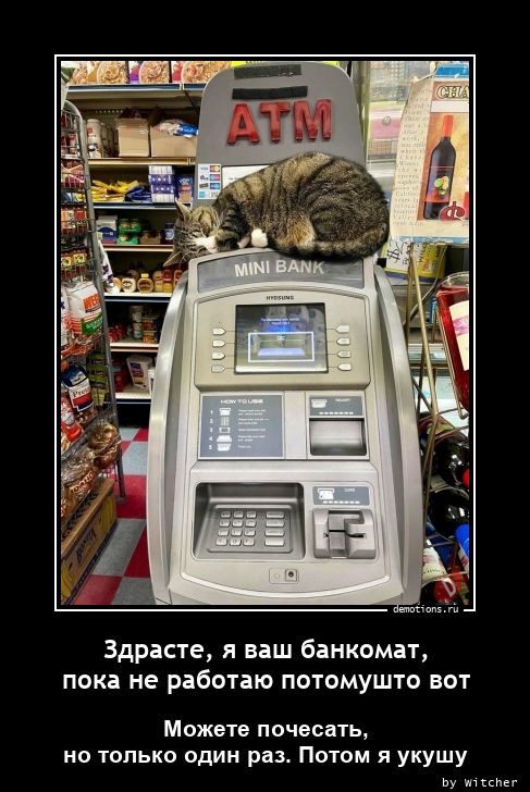 Демотиваторы – картинки