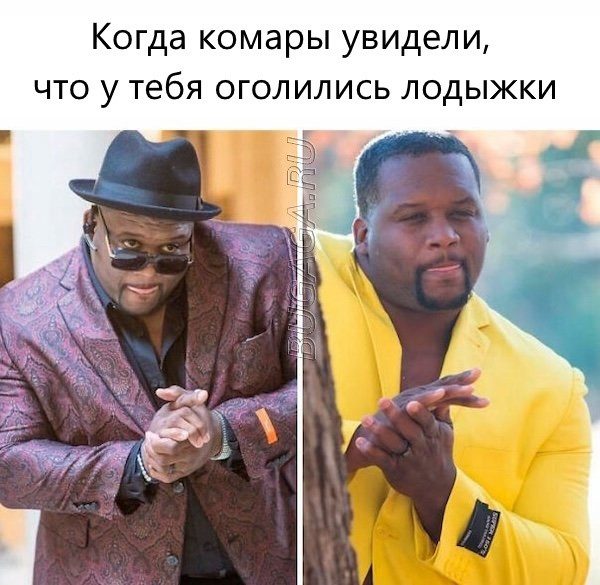 Мемы, шутки и приколы про лето, ах, лето…