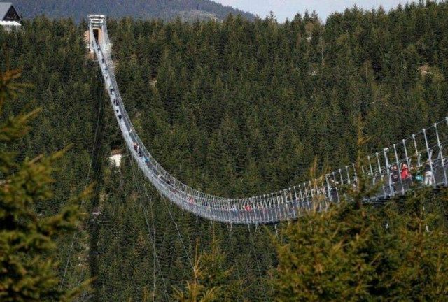 Прикольных картинок пост