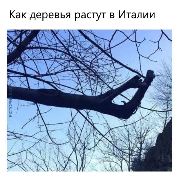Фотоприколы
