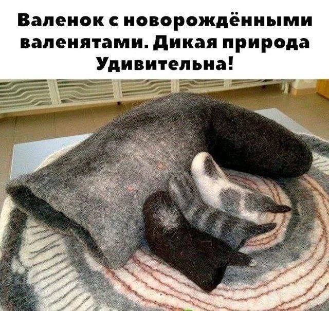 Фотоприколы