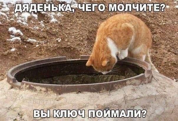 Фотоприколы