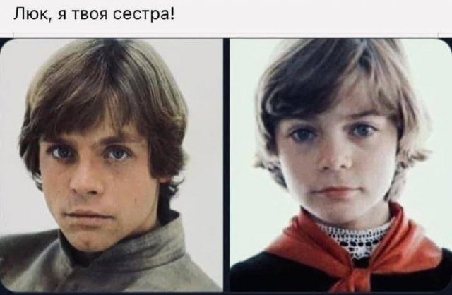 Мемы из Сети