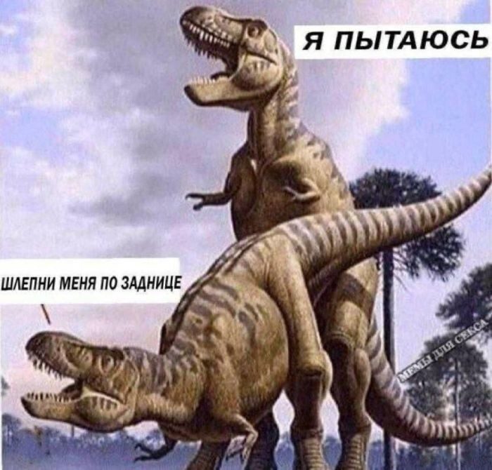 Здесь в основном маразм