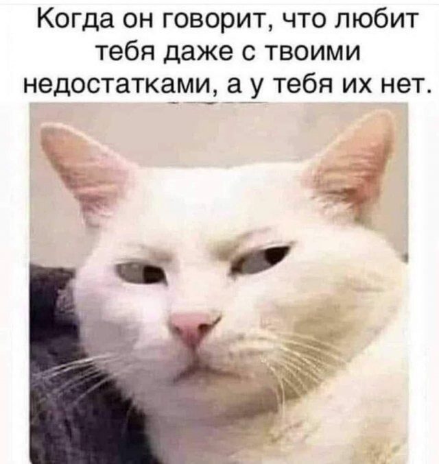 Скрины из соцсетей
