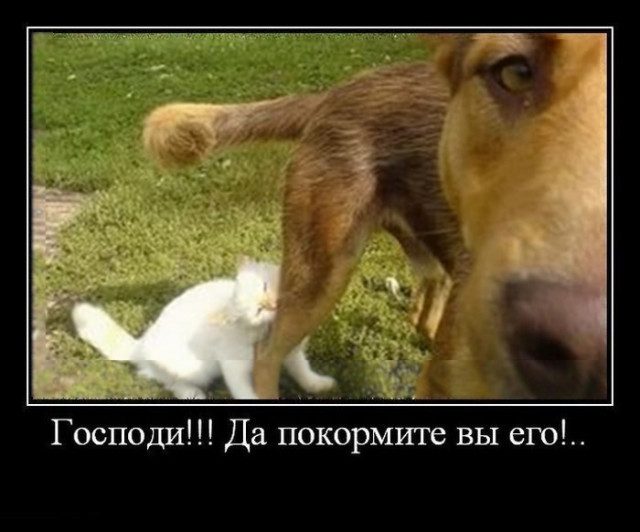Демотиваторы на любой вкус