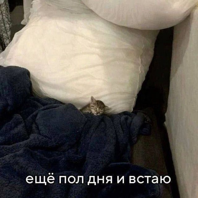 Смешные мемы