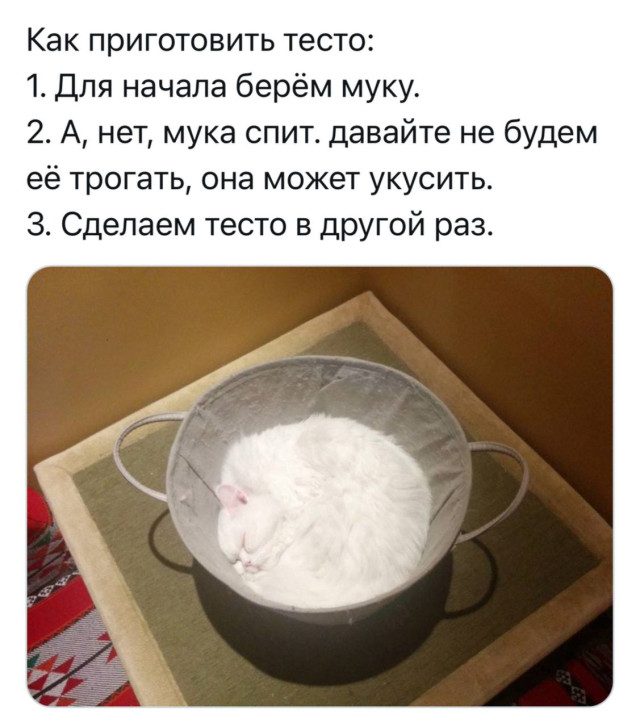 Фотоприколы для всех