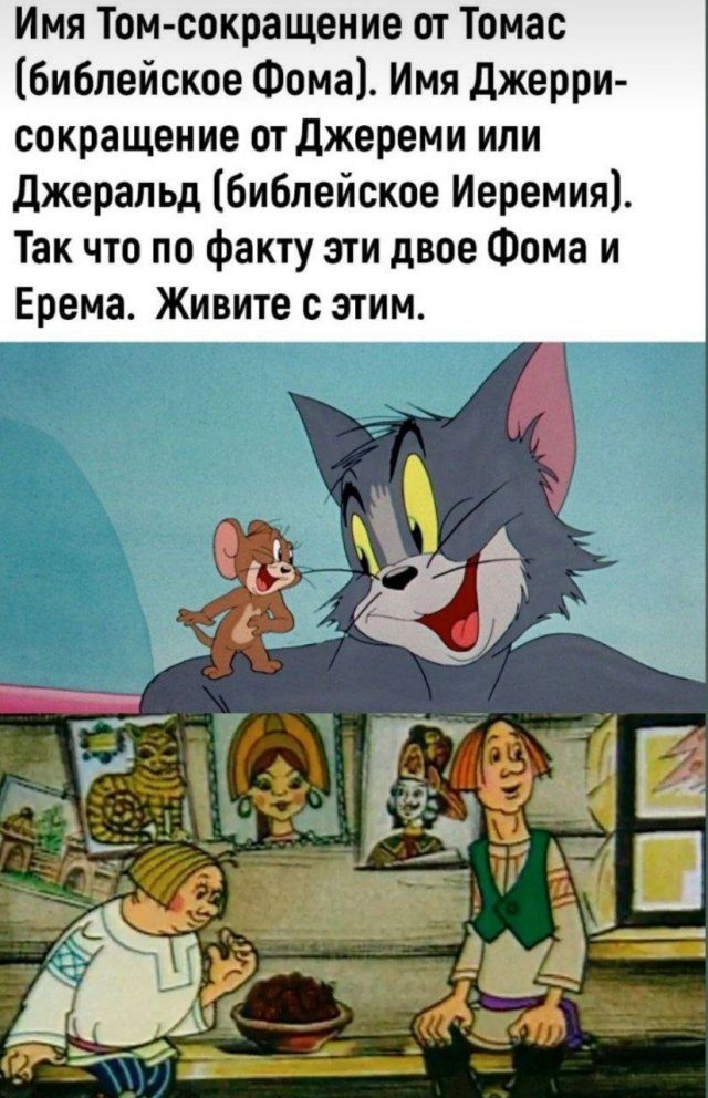Шутки и мемы