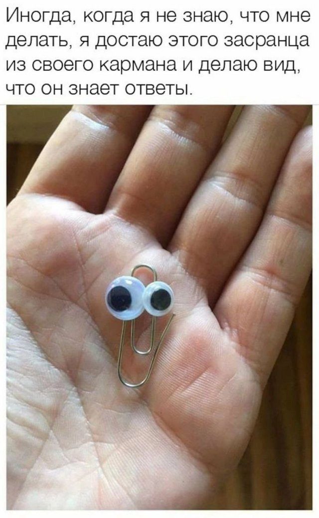 Смешные картинки