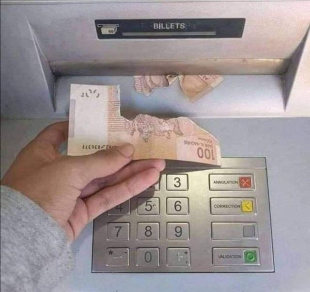 Приколы дня