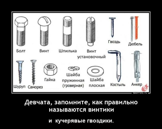 Демотиваторы дня