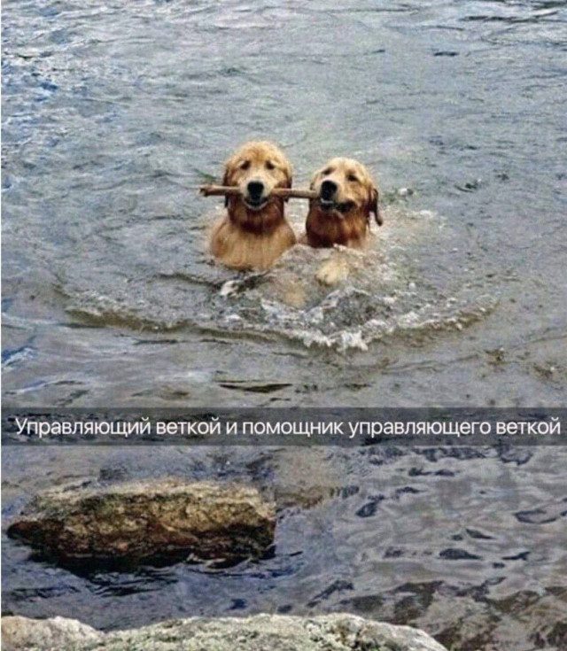 Фотоприколы
