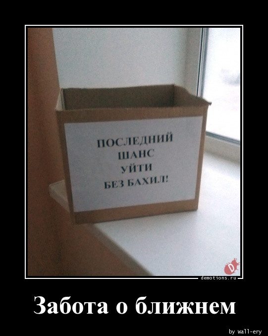 Демотиваторы дня