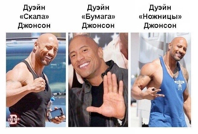 Не ищите здесь смысл